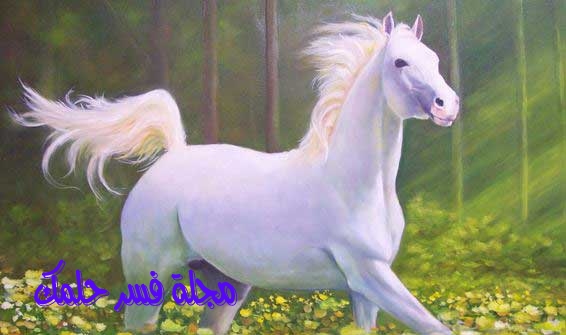 حلم الحصان الأبيض للبنت العزباء والمتزوجة في المنام لابن سيرين